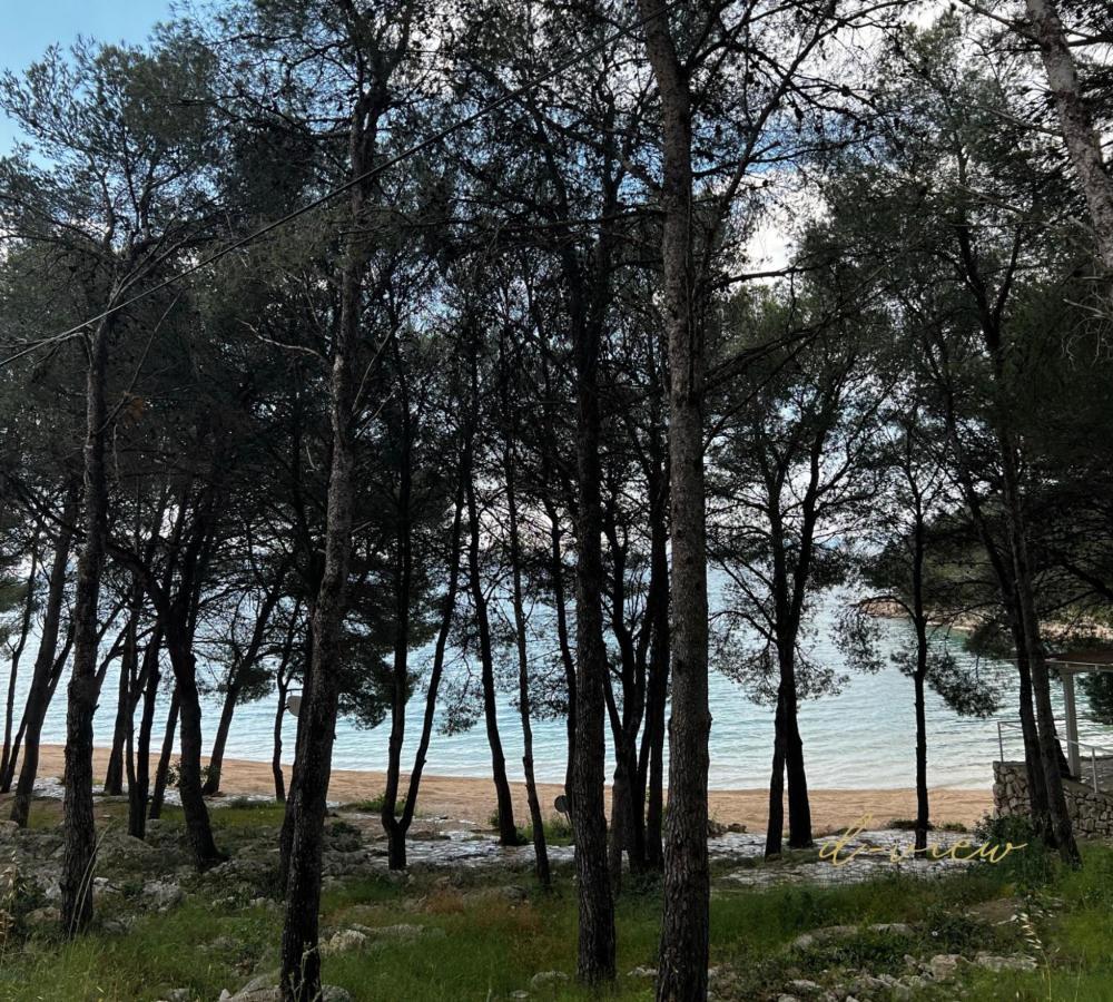 D-View Premium Mobile Home - Panoramic Seaview - 150 M From Beach, Free Parking Drage Exterior foto